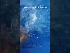 van de de Rotorbldc Motor IP65 van 24V 36V de Buiten Waterdichte Brushless Motor met Propeller